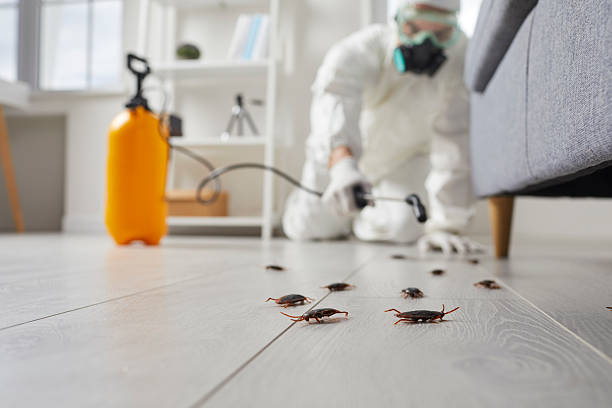 Commercial Kitchen Cockroach Control in Shippensburg